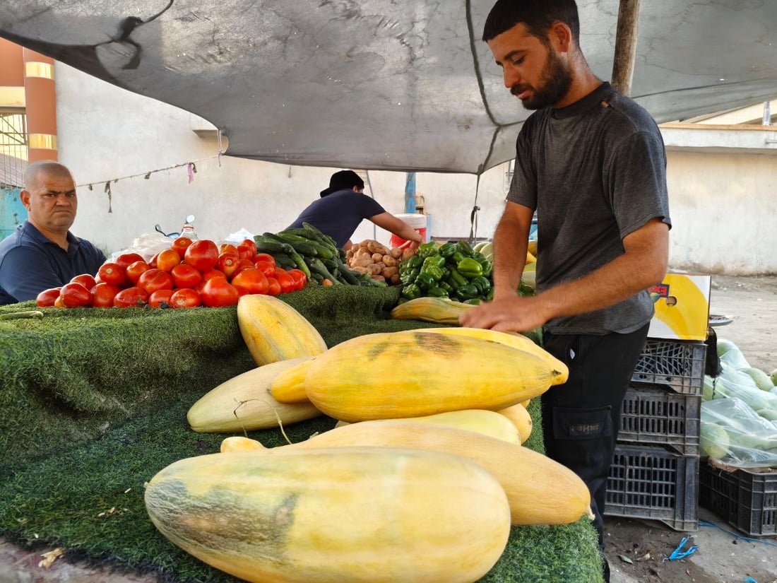 صور: هذا ليس بطيخاً ولا “عطروزي”.. سوق الحلة يحتفل بـ”السابوري” أو “خيار الماء”