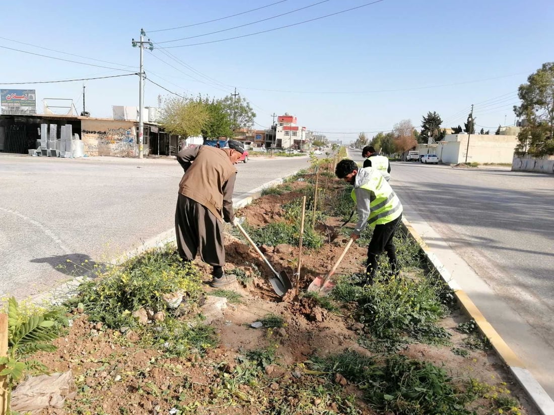 دار و گوڵەكانی جووت سایدی بنەسڵاوە سەرپەلكران