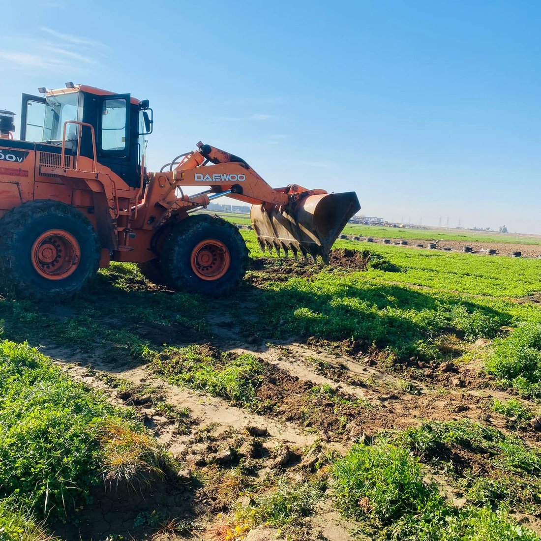 ئاوی زێرابیان بۆ ئاودانی سەوزە بەکاردەهێنا؛ زەوییەکانیان تێکدرا و خۆیشیان دەستبەسەر کران
