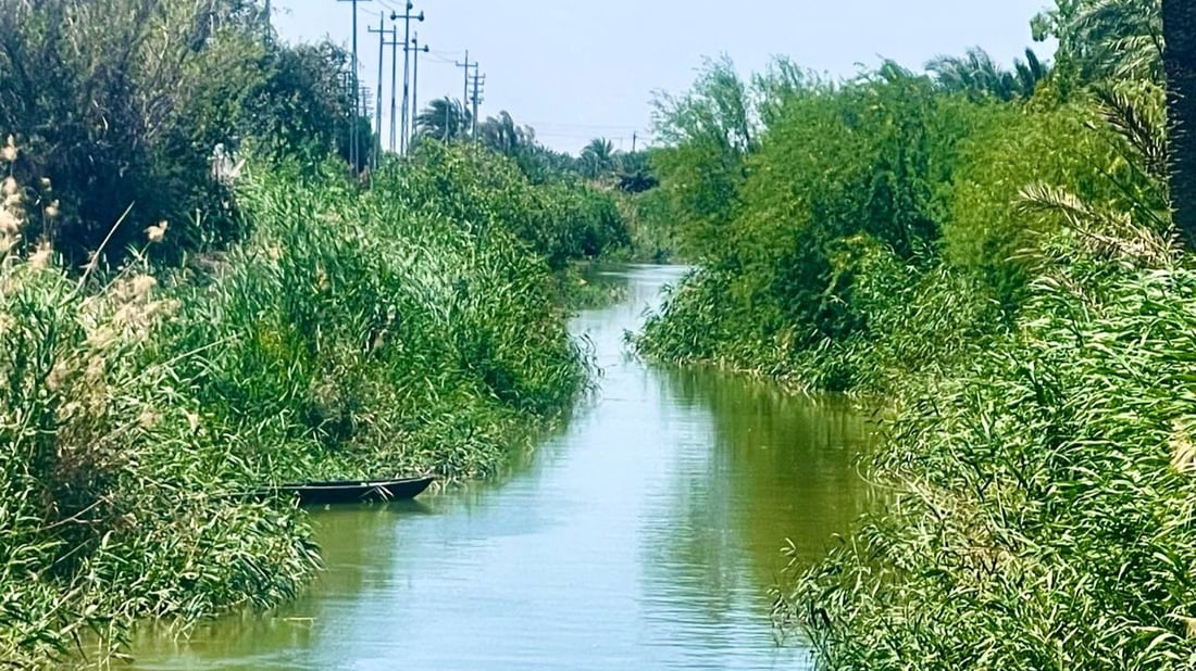 صور من روعة الطبيعة شمال البصرة.. السفرات تبدأ إلى نهر الداير مع برودة الطقس