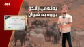لە فەلسەفە یەکەمی هێنا، ئێستا شوانێکی چالاکی لێ دەرچووە