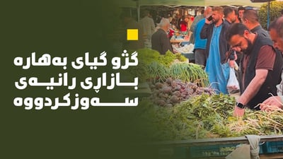 گژوگیاى بەهارە بازاڕى سەوزە و میوەى رانیەى ئاوەدان کردووەتەوە
