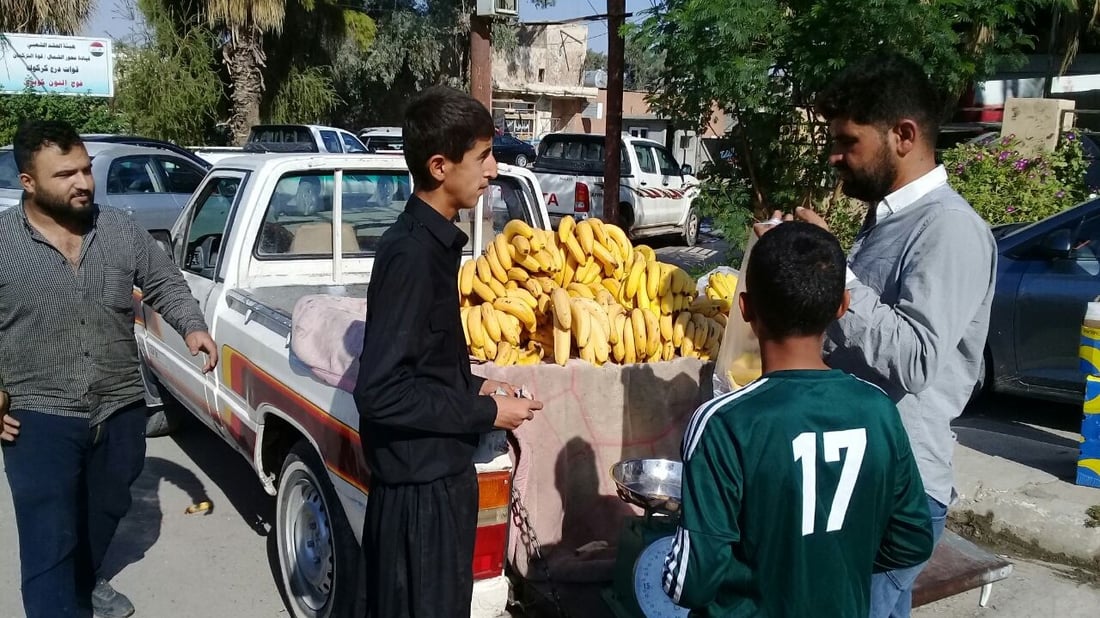 آلتون كوبري تأكل الموز من أربيل.. گوران يربح 100 دينار ويخسر دگة الميزان (صور)