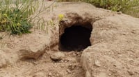 دروستبوونى چاڵى گه‌وره‌ له‌ گۆڕستانه‌كانى خورماتوو ...