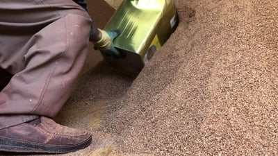 لەسەر زەوی سماقی هەڵڕشتبوو قایمقامیەت شوێنەکەی داخست