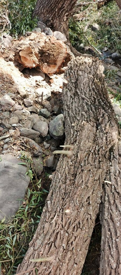 لە گوندێکی چۆمان 50 شۆڕەبی قەتڵوعام کران