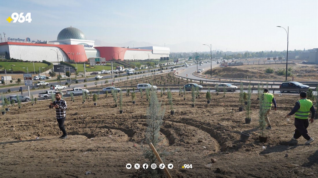 شارەوانی سلێمانی هەڵمەتی ناشتنی نەمامی راگەیاند