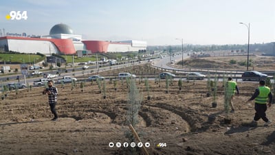 شارەوانی سلێمانی هەڵمەتی ناشتنی نەمامی راگەیاند