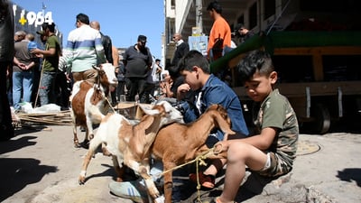 (سوق ئەلغەزەل) له‌ ئاژه‌ڵ و باڵنده‌كان ناكه‌وێت