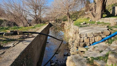 کانیاوە وەرزییەکانی پارکی هەواری شار بووژانەوە