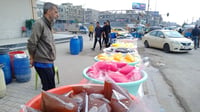 المشتل: أكياس الزبيب و