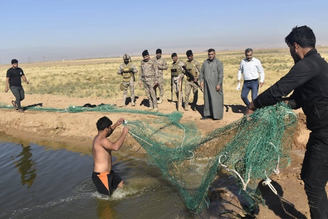 “خاوەنەکانیان رووبەڕووی دادگا دەکرێنەوە”