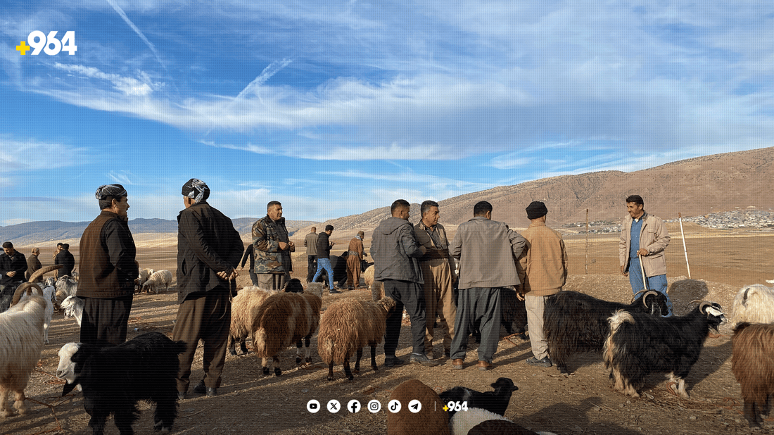 لە هەریر مەیدانێکی جیاوازی ئاژەڵان کراوەتەوە