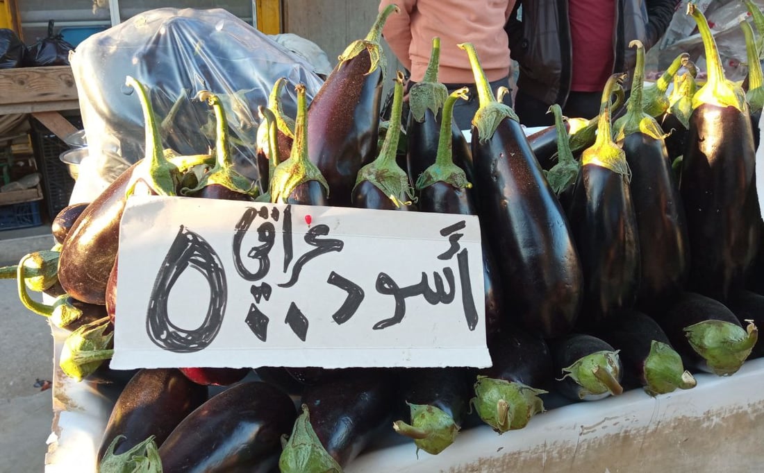 طويريج تتباهى بعلامة “عراقي” على الخضروات.. كل شيء من أربيل حتى البصرة (صور)