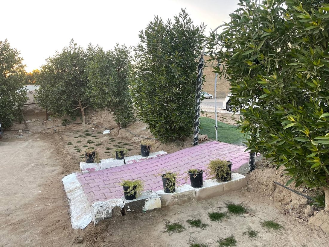 النجف تنقذ ملعب العدالة بتعهدات في الشرطة وسياج الإلبيزيا (صور)