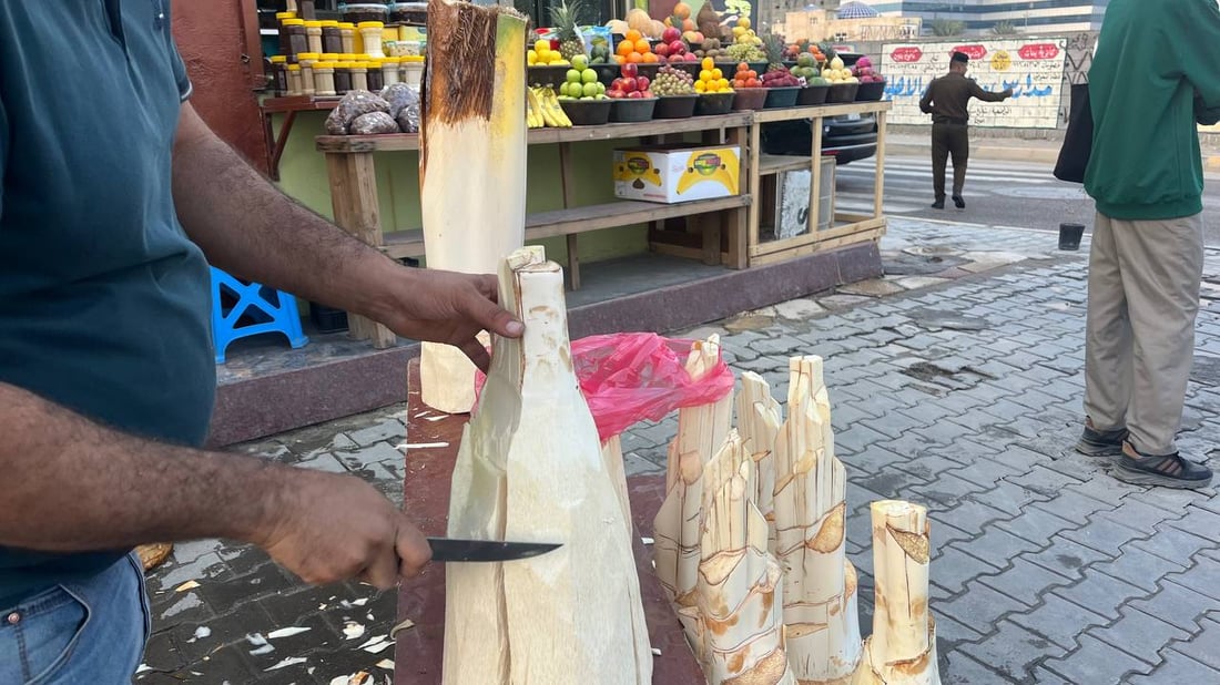 صور: جمار البصرة صار مرّاً.. والبديل من الطارمية والصويرة والعملية غير ضارة