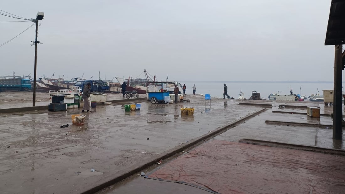 لا سمك في مزاد الفاو.. البحر الهائج منع نزول صيادي العراق