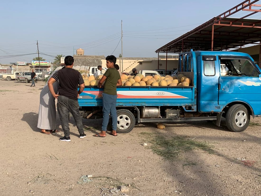 بطيخ الرضوانية وصل اليوم.. التجار جاؤوا من كل مكان بحثاً عن الراني والشوكي (صور)