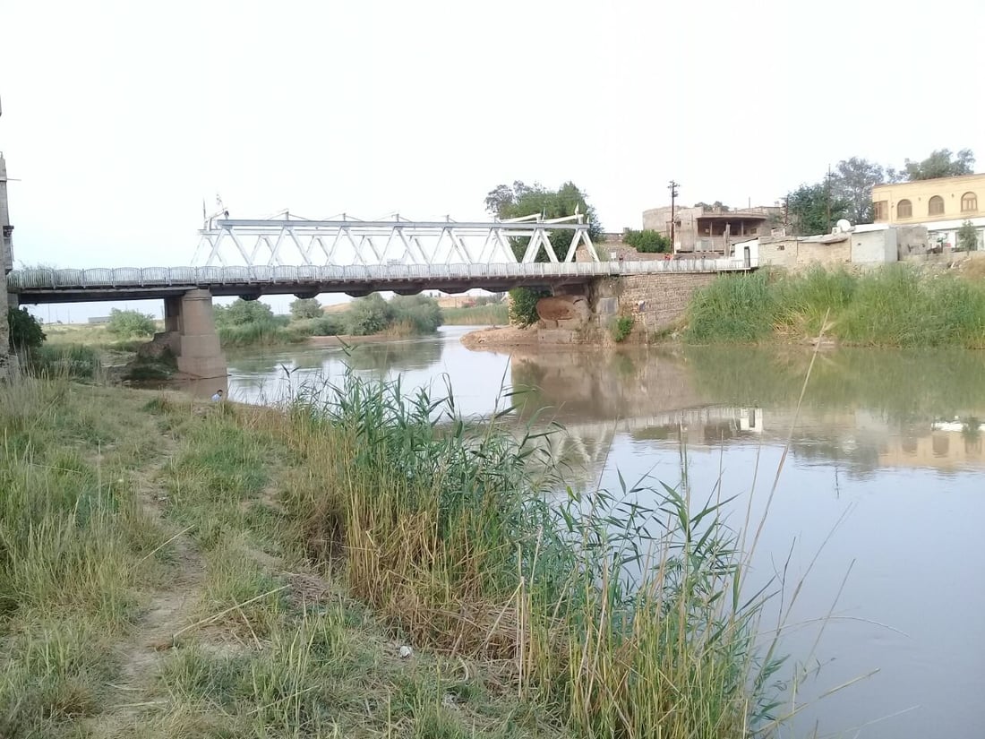 دجاج آلتون كوبري ينخفض إلى 2500.. اللحم والسمك يحلقان بعد ردم البحيرات والنزفية