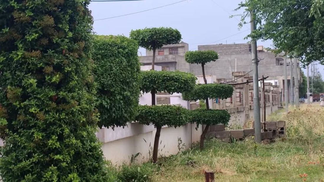 بە سەلیقە و ئیشکردنی خۆی ژینگەی فەرمانگەکەی رازاندووەتەوە