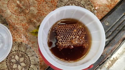 صور: “شيرة” في خلايا النحل.. حلبجة تتلف 40 كغم عسل مغشوش