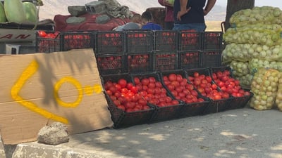فيديو: أربيل بدأت تبيع “كيلو الطماطة بسعر كرصة خبز”.. ولا أحد يشتري!