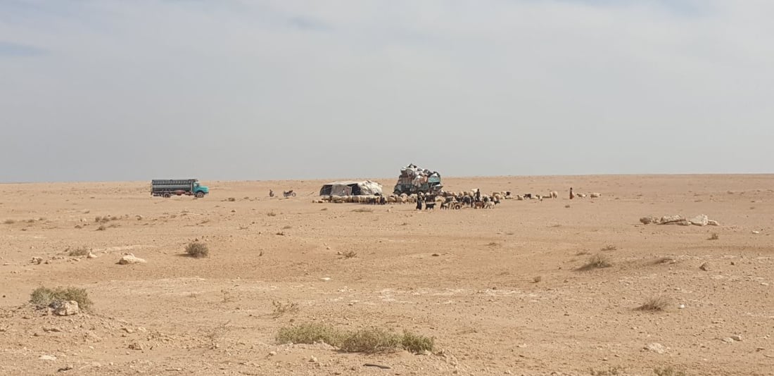 رحلة الشتاء تبدأ في صحراء العراق.. بدو السماوة: سنعود إليكم مع غياب “سهيل” (صور)