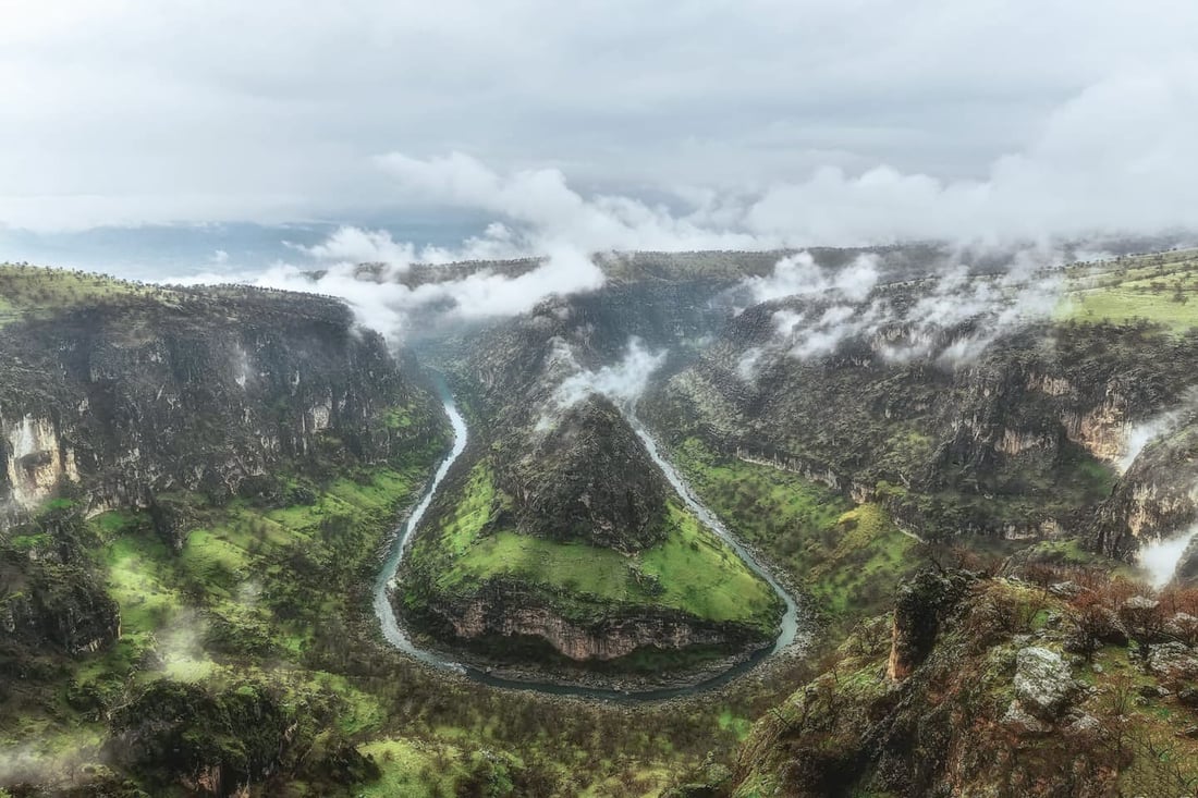 Barzan bans commercial harvesting of wildflowers and herbs to protect local ecosystem