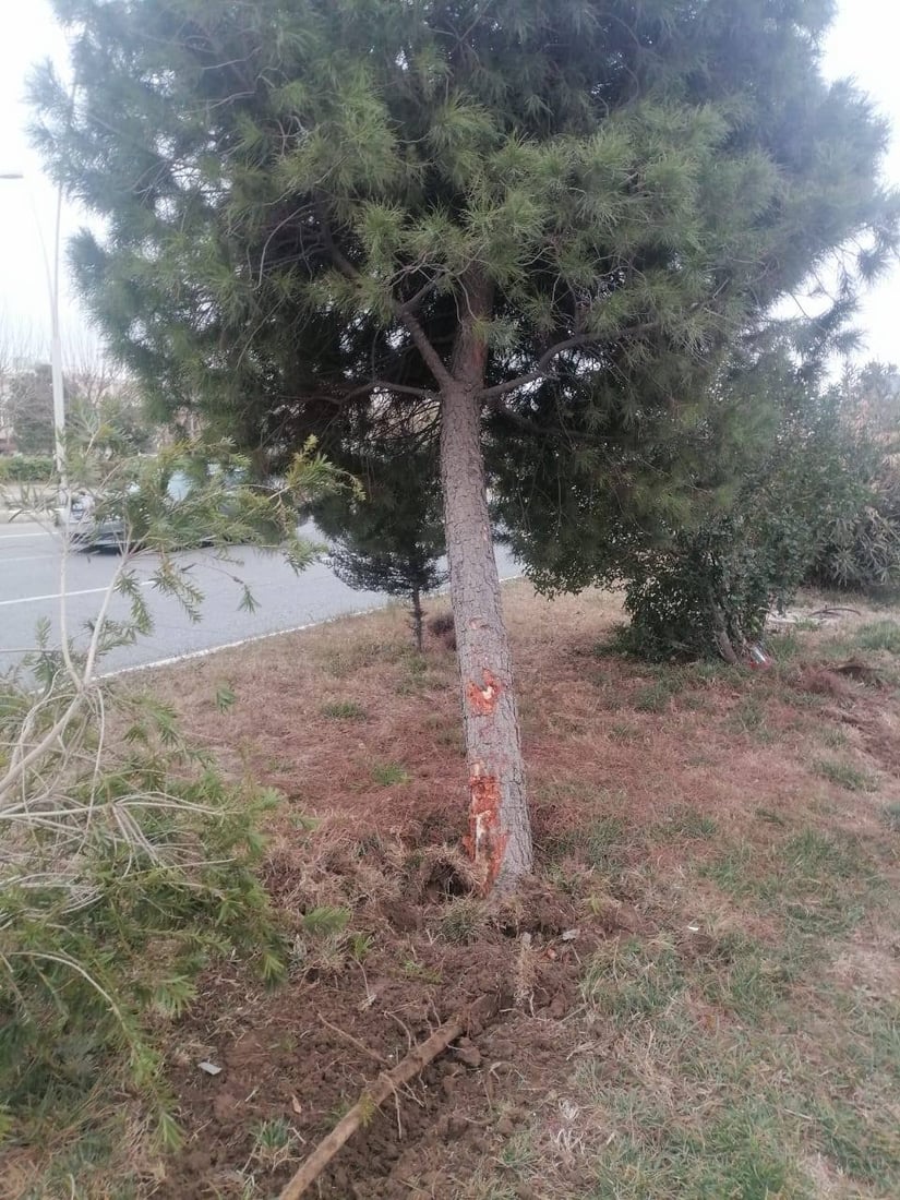 بۆ لادانى زێدەڕۆییەکان؛ هەڵمەتەکانى شارەوانى هەولێر بەردەوامە