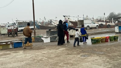 صور: صيد الأمس يملأ سلال اليوم.. أسعار السمك في مزاد النقعة الصباحي