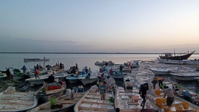 بعد 4 أيام سعيدة في البحر.. صيد وفير وزبائن من كل مكان في مزاد النقعة (فيديو)