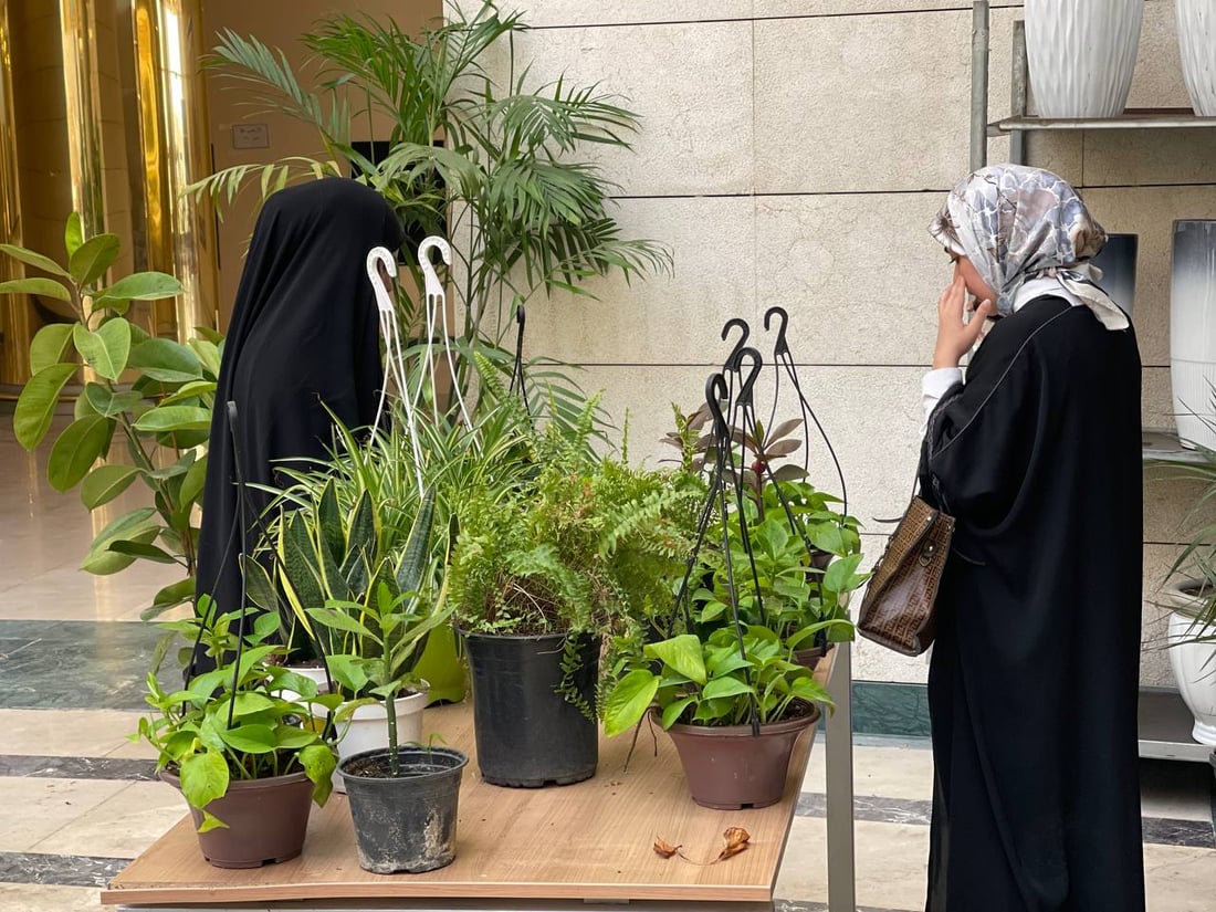 صور: نباتات نادرة في أول معرض للزراعة بالنجف وطموحات لنقل التجربة لمحافظات أخرى