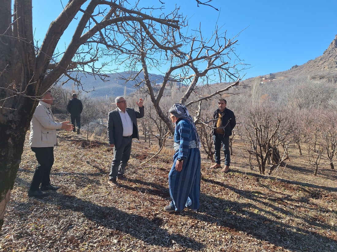 هه‌ر له‌ ئێستاوه‌ نیشانه‌ى چه‌ند نه‌خۆشییه‌ك له‌سه‌ر سێوه‌كانى به‌روارى باڵا ده‌ركه‌وتووه‌