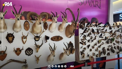 ئاژەڵی سەدان ساڵ لەمەوبەر هێندراون بۆ پێشانگا