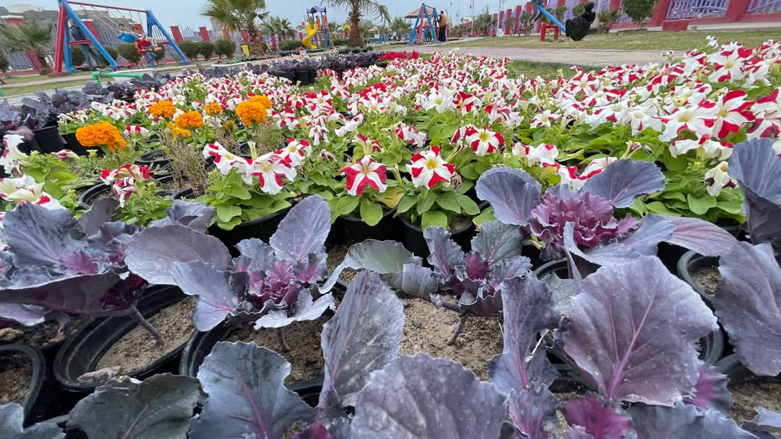 Basra’s city municipality hosts flower exhibition