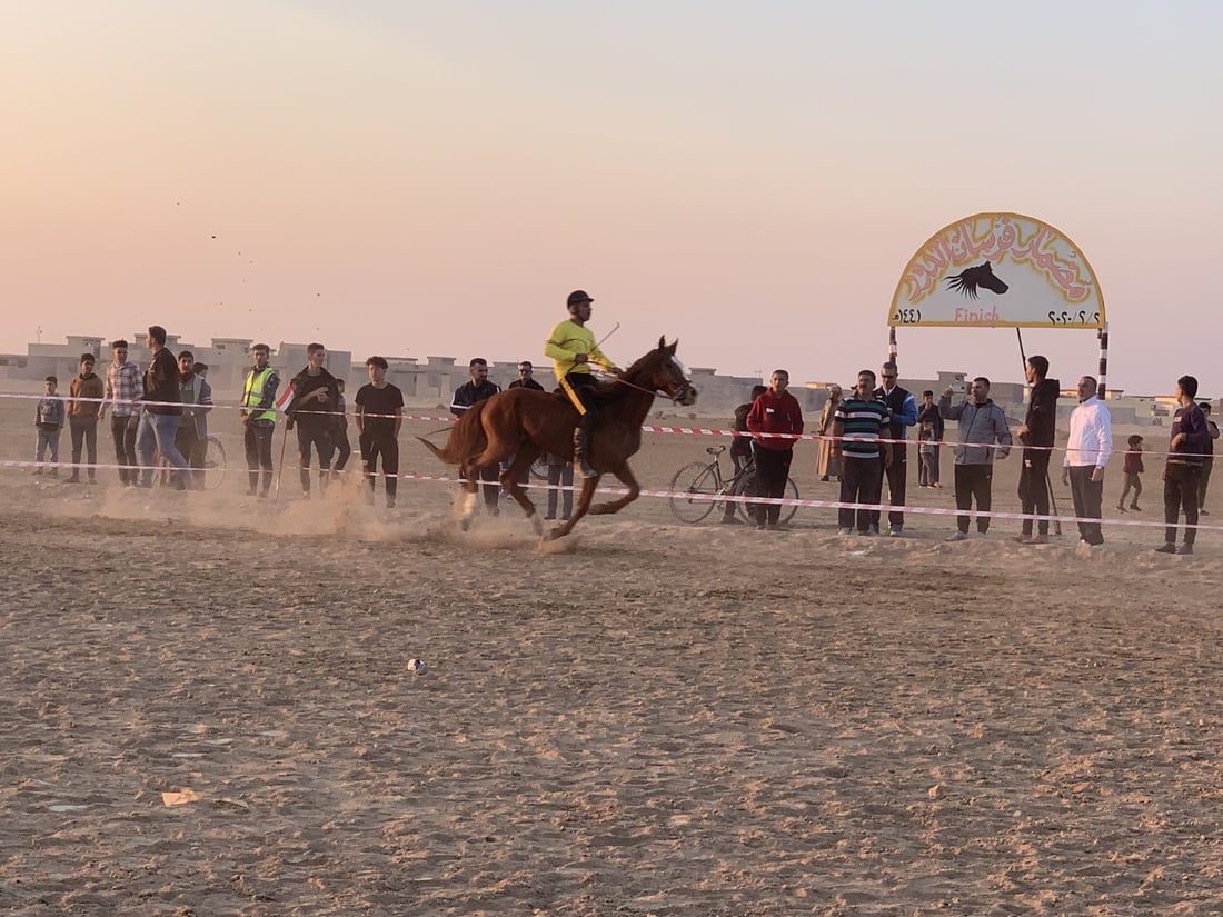 27 فارسا على خيول “الواهو” والجياد العراقية يتنافسون في مضمار الدور (صور)