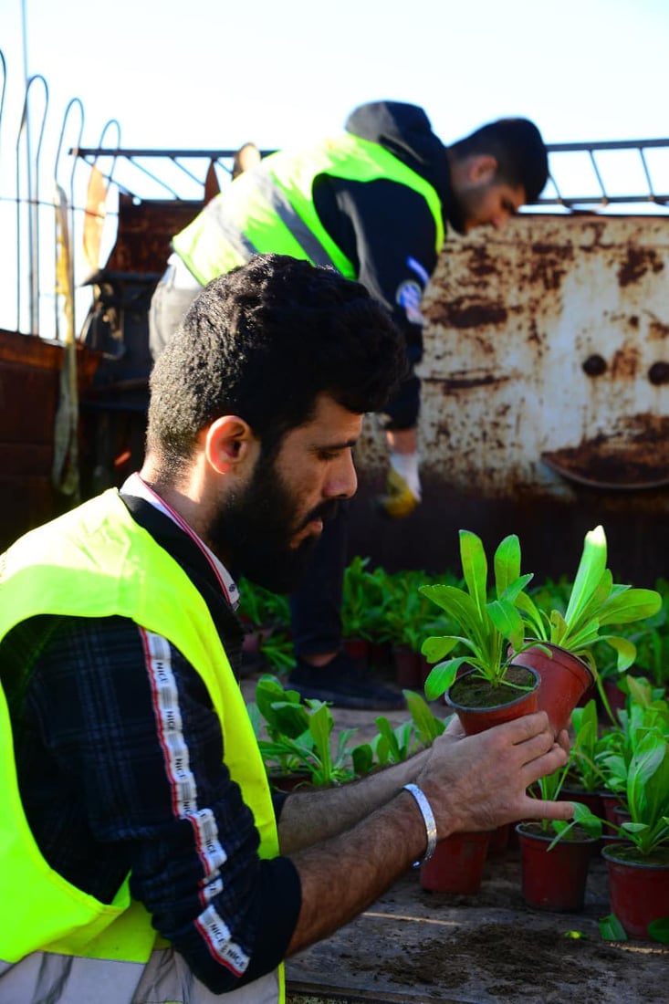 هه‌ولێر پڕ له‌ گوڵى (هه‌میشه‌ به‌هار) ده‌كرێت