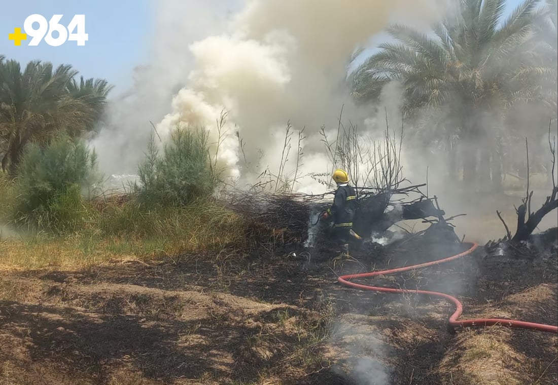 Neighbor’s trash fire scorches palm grove and orchard