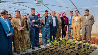 بۆ رازاندنەوەی ئیدارەی سۆران نەمامگەیەک لە رواندز کرایەوە