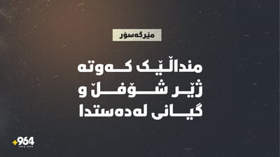 منداڵێک کەوتە ژێڕ شۆفڵێكى تایه‌ زنجیر و بوو بە دوو پارچە