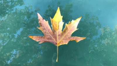 Scenic views of Sarchinar in the heart of Sulaymaniyah