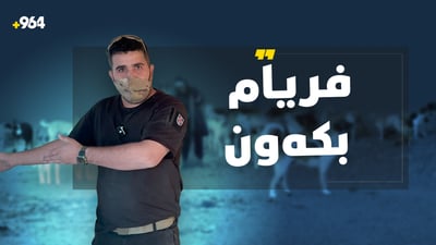 سەدان سەگ لە پەناگەیەکى سلێمانى داڵدەدراون