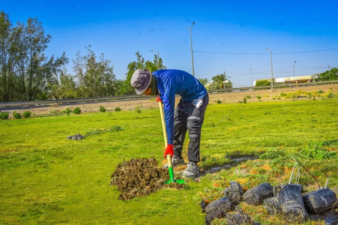 صور مبهرة من تشجير مقتربات مجسر الجمجمة في الحلة