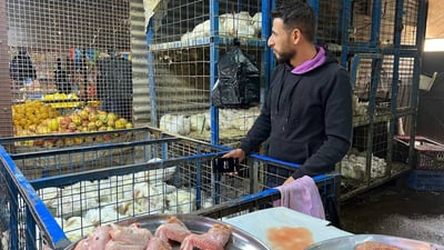 “الشهر الفضيل” لم يدخل بعد.. التجار رفعوا الدجاج 2000 دينار في الزعفرانية (صور)