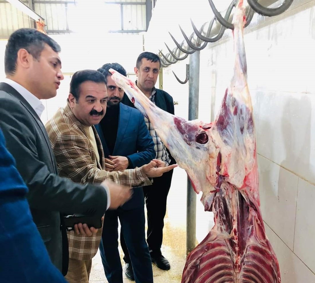 لە سۆران ئاژەڵەکان لە کورەدا دەسووتێنن