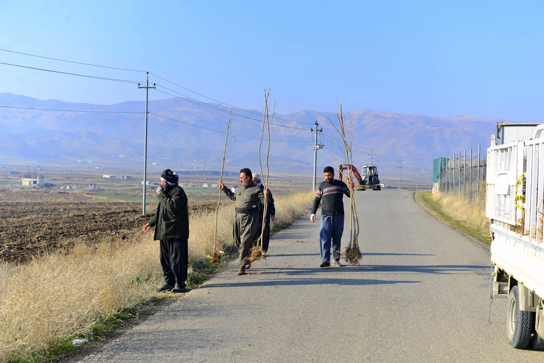 له‌ پێنجوێن 24 هه‌زار دار توو چێندراوه‌