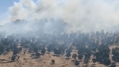ئاگرێکی گەورە لە شاخەکانی گوندی کەژانی پێنجوێن کەوتووەتەوە