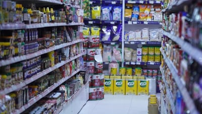 Iraq studies food commodities exchange as ministry eyes surplus crop exports