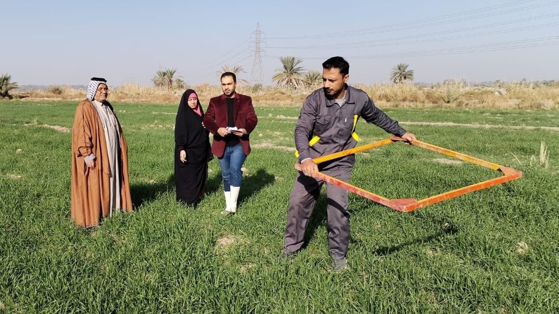 صور: مزارعو بابل يكافحون الأدغال على 5 مراحل.. السليجة والفجيلة والخباز