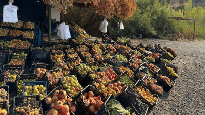 خواست لەسەر فستەقى تەڕە